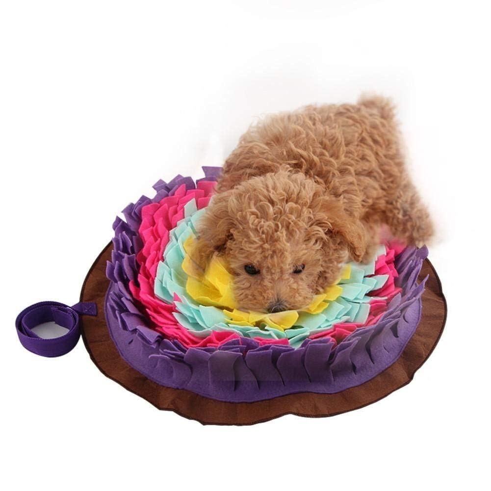 Best Toys For Keeping My Dog Mentally Stimulated