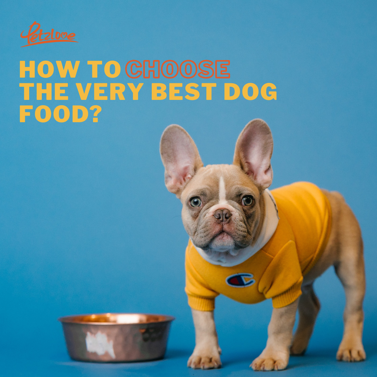 How to Choose the Very Best Dog Food? – Petzlove