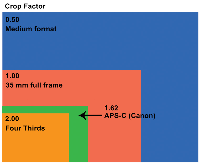 Full Frame vs Crop Sensor [Everything You Need to Know]