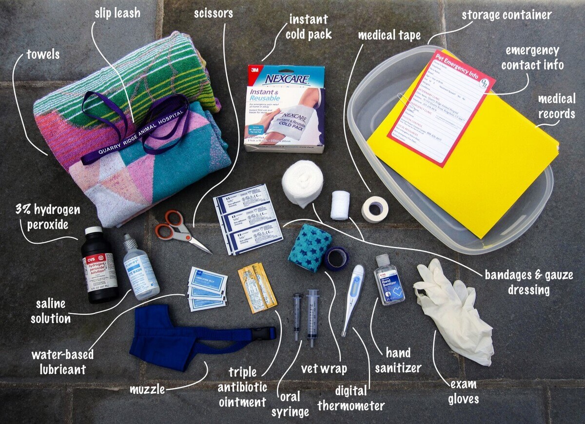 What To Include In A Pet First Aid Kit