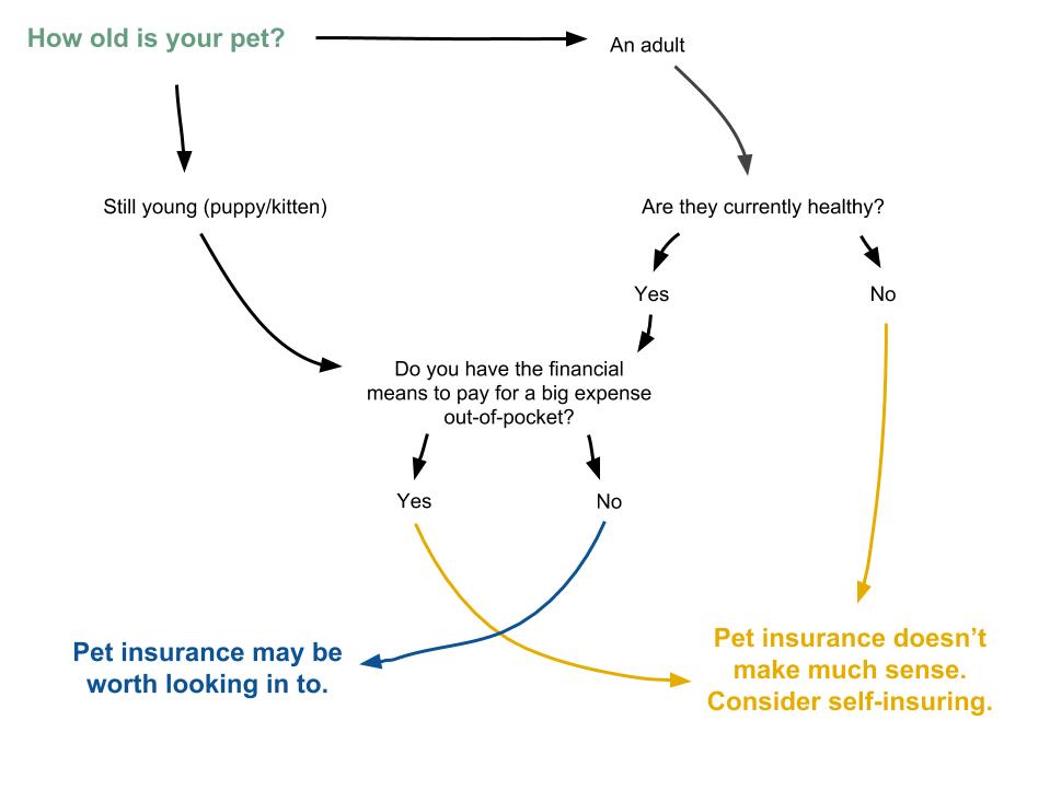 How To Choose The Right Pet Insurance For My Needs