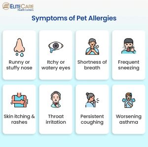 How To Manage Pet Allergies In The Household