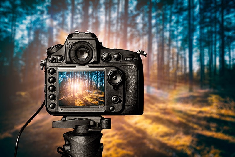 The Best Tripods and Why You Need it for Landscape Photography