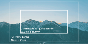 Full Frame vs Crop Sensor - Which One Will You Choose? - It's Never Too ... What Are The Differences Between Full Frame And Crop Sensors
