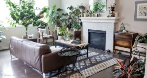 How To Incorporate Plants Into Home Decor Effectively