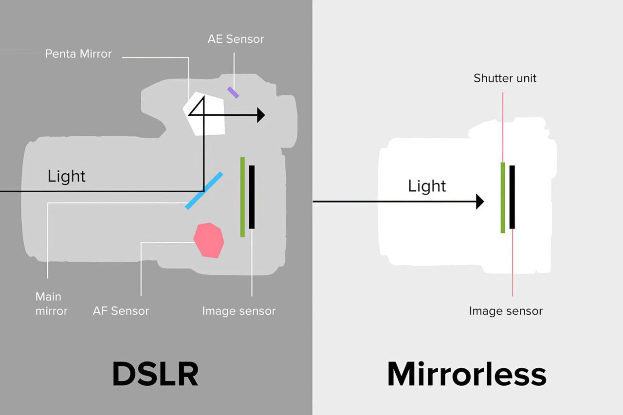 DSLR vs Mirrorless Cameras – Which is Better? - Aftershoot DSLR vs Mirrorless Cameras – Which is Better? - Aftershoot