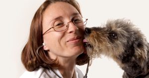 How often you should take your dog to the vet | ManyPets How Often Should I Take My Dog To The Vet