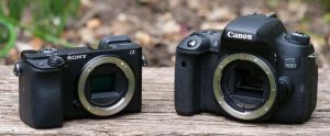 What Is The Difference Between DSLR And Mirrorless Cameras