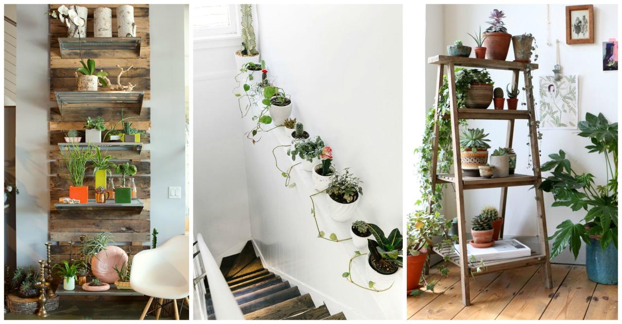 10 Unexpected Ways to Decorate Your Home with Plants How To Incorporate Plants Into Your Home Decor